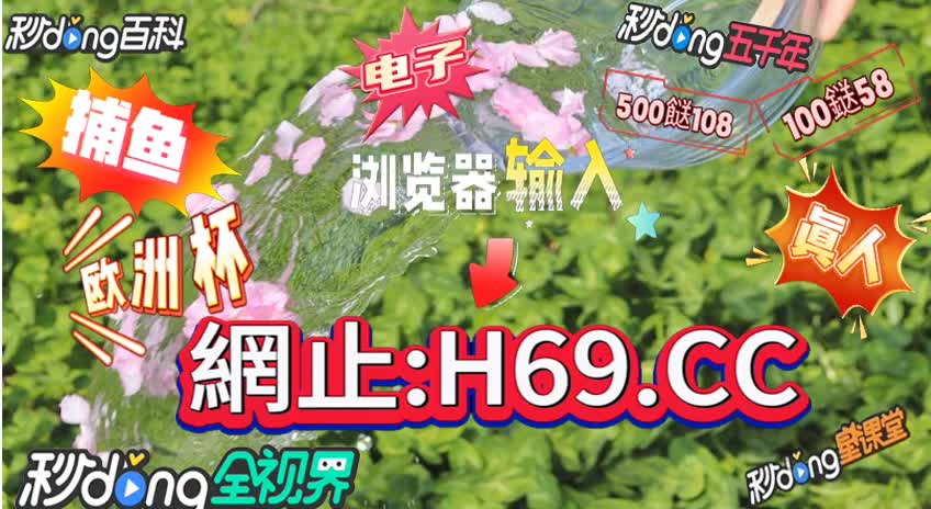 澳门美人鱼三肖三码精准100%,豪华精英版79.26.45-江GO121,127.13