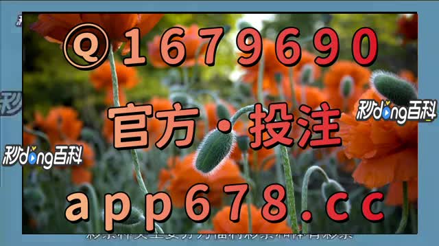 全网最准确的澳门彩,最新答案动态解析_vip2121,127.13