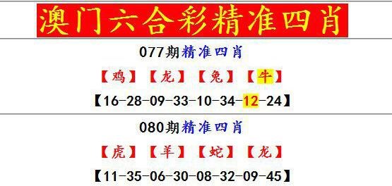 澳门资料24码,最新热门解析实施_精英版121,127.13