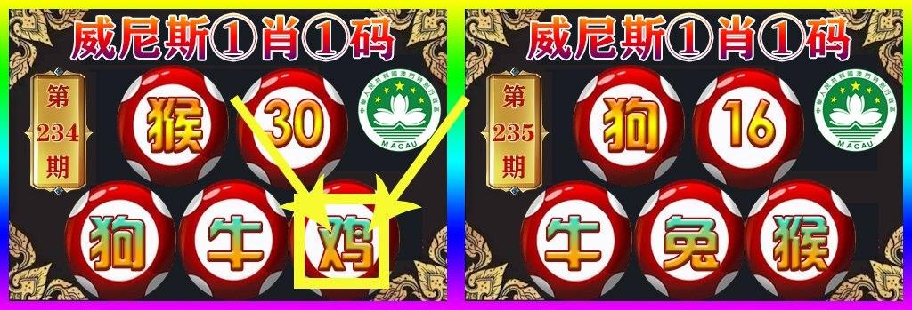 新奥门一码一肖100精确,效能解答解释落实_游戏版121,127.12