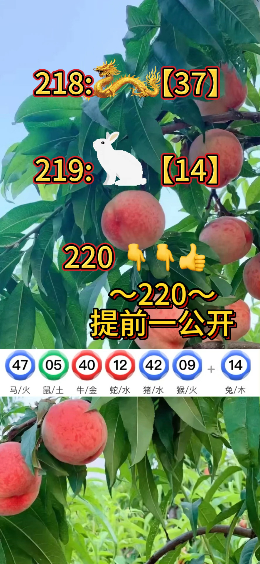 新澳门全年资料大全,豪华精英版79.26.45-江GO121,127.13