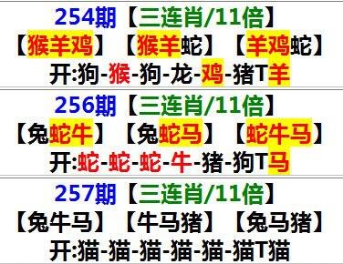 澳门三肖三码三期期必出,豪华精英版79.26.45-江GO121,127.13