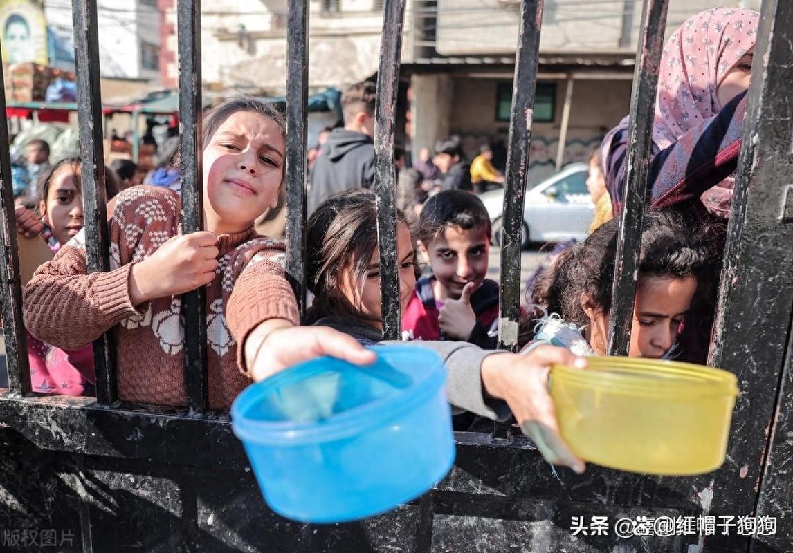 2025澳门天天开好彩大全46期和加沙数万难民抢食物与加沙数万难民抢食物视频