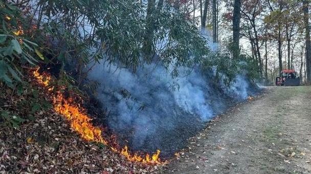 2025澳门天天开奖大全和加拿大多地野火肆虐与加拿大多地野火肆虐进入紧急状态