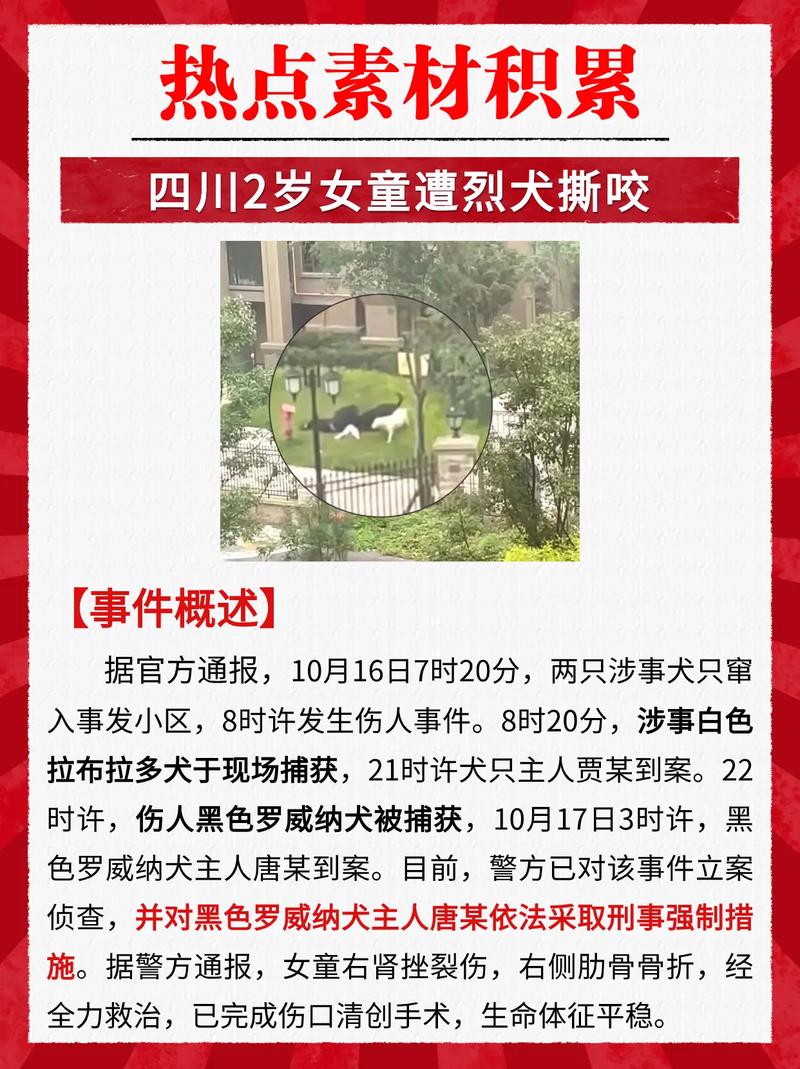 新门内部资料最快更新和7岁男孩遭3只犬撕咬与7岁男孩遭3只犬撕咬怎么办