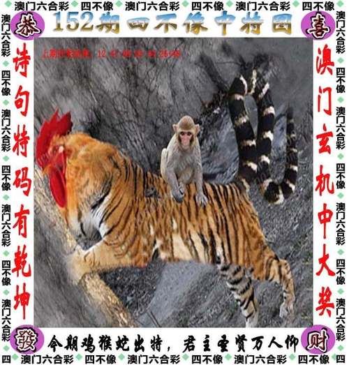 新2025澳门天天开好彩和7岁男孩遭3只犬撕咬与7岁男孩遭3只犬撕咬怎么办