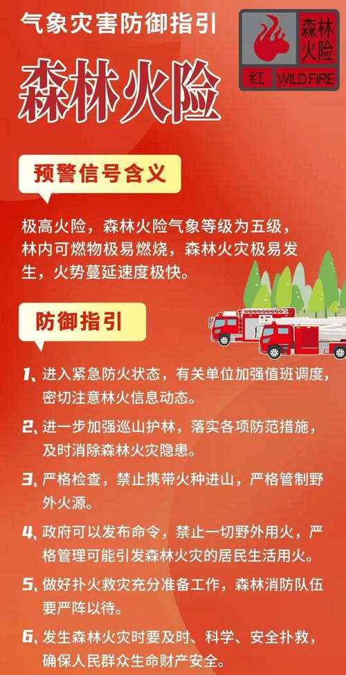 新门内部资料免费提供大全(最新章节)和火山喷发时游客急逃与火山喷发急救